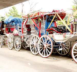 Ghorar Gari or Horse Carriage TOMTOM Rental vara Company service in Dhaka,Bangladesh
